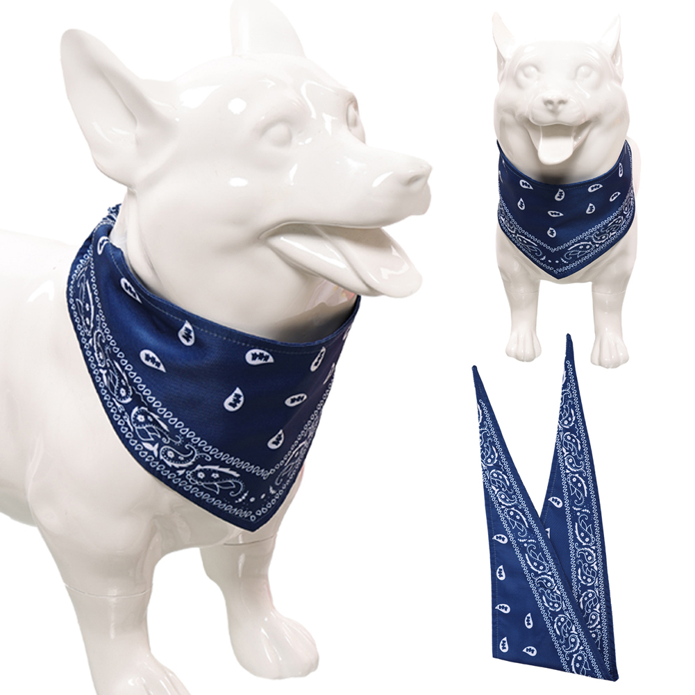 TV ST 5 Eleven Dog Blue printe - Cosplay Prop Blueprints recensione e prezzo